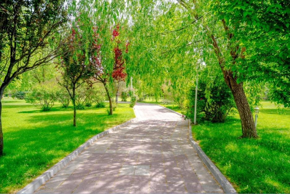 Korel Thermal Resort Afyonkarahisar Eksteriør billede